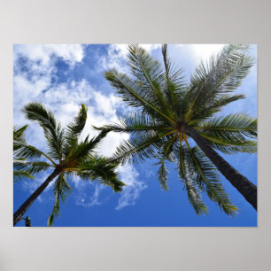 Poster Photo de palmiers tropicaux