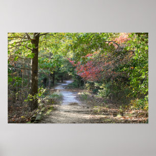 Poster photo de Park Path