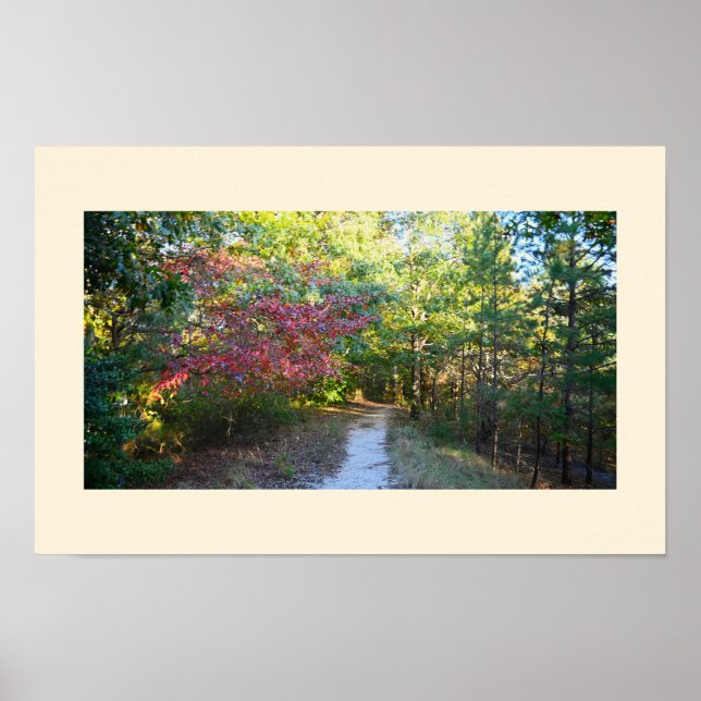 Poster photo de Park Path (Devant)