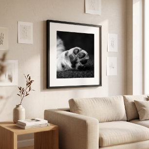 Poster Photo de patte personnalisée 5 par 7 Photo souveni