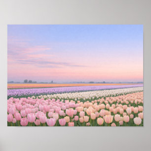 Poster Photo de paysage de champ de tulipes pastel au lev