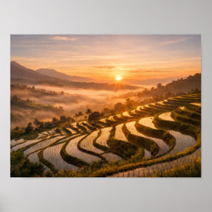Poster Photo de paysage du lever de soleil sur les rizièr