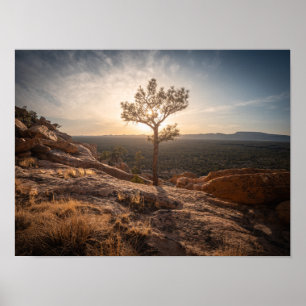 Poster Photo de paysage du Nouveau-Mexique