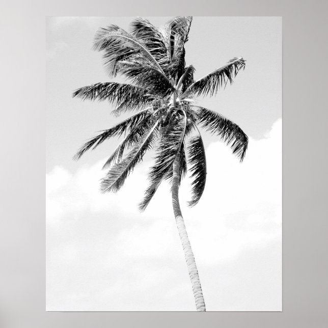 Poster Photo de plage de palmiers noirs et blancs (Devant)