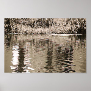 Poster Photo de Pond Sepia