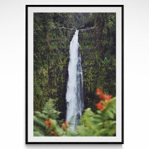 Poster photo de Rainforest Waterfall