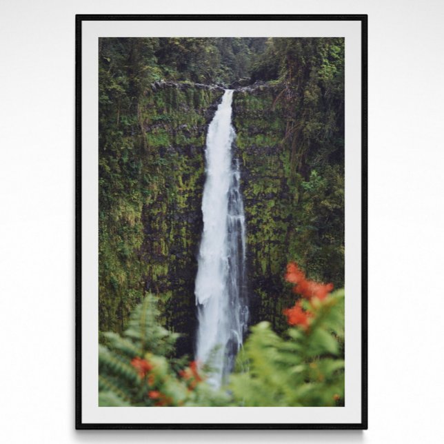Poster photo de Rainforest Waterfall (Créateur téléchargé)