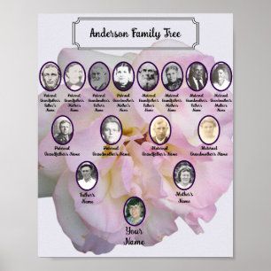 Poster Photo de rose rose pâle avec photos d'ancêtres ova