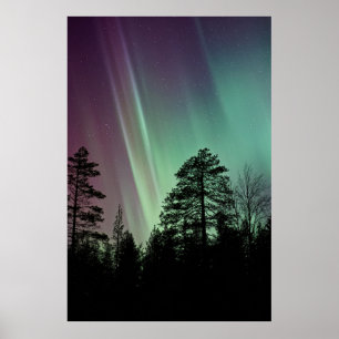 POSTER PHOTO DE SILHOUETTE D'AURORA BOREALIS