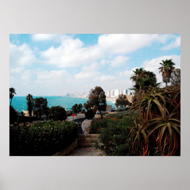 Poster Photo de Tel Aviv du parc Abrasha, Jaffa, Israël (Devant)