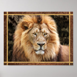 Poster Photo de visage de lion magnifique