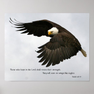 Poster Photo d'Eagle avec le vers de bible