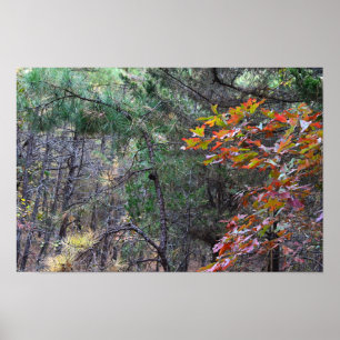 Poster photo des feuilles d'automne
