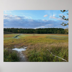 Poster photo du champ d'automne
