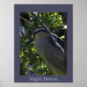 Poster photo du héros de nuit