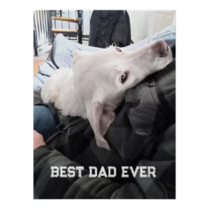 Poster Photo du magnifique chien blanc avec Fête des père