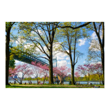 Photo du parc Astoria