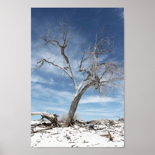 Poster Photo du parc national White Sands Zion (Devant)