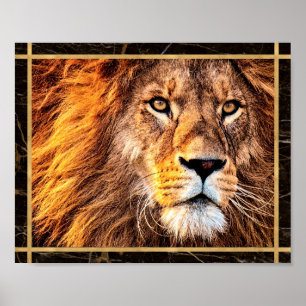 Poster Photo du visage du lion Photo Imprimer l'affiche