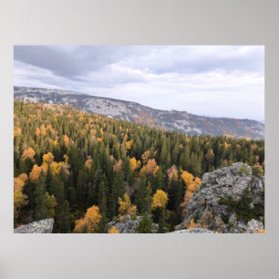 Poster photo d'une forêt d'automne montagneuse, montagnes