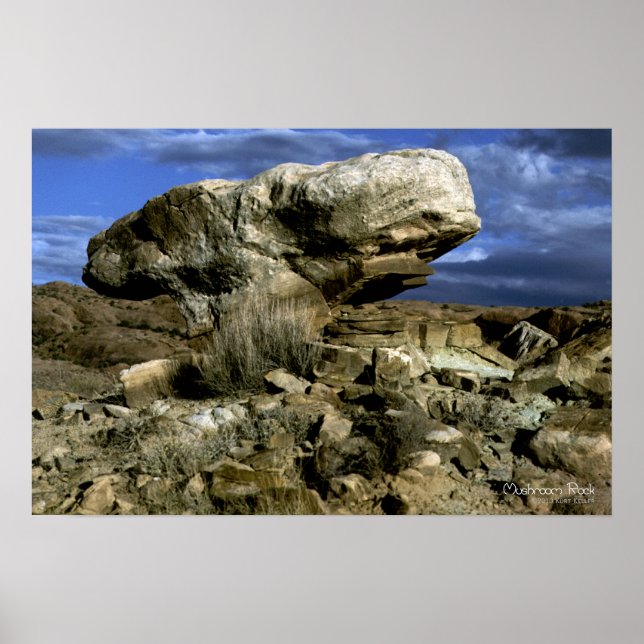 Poster Photo en couleur du rocher-champignon (Devant)