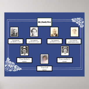Poster Photo Family Tree Rose Dessin bordure en bleu
