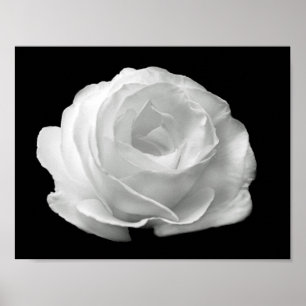 Poster photo florale noire et blanche vibrante
