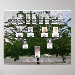 Poster photo Green Summer Family Tree