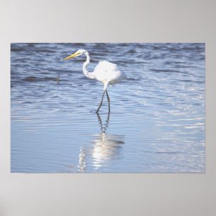 Poster photo Heron