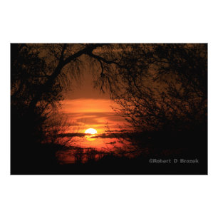 Poster photo Kansas Trees Sunset.