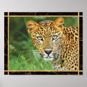 Poster Photo Leopard Closeup Imprimer l'affiche
