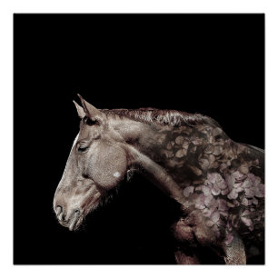 Poster Photo magnifique de fleur de cheval de double