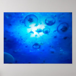 Poster Photo Ocean Blue Jellyfish