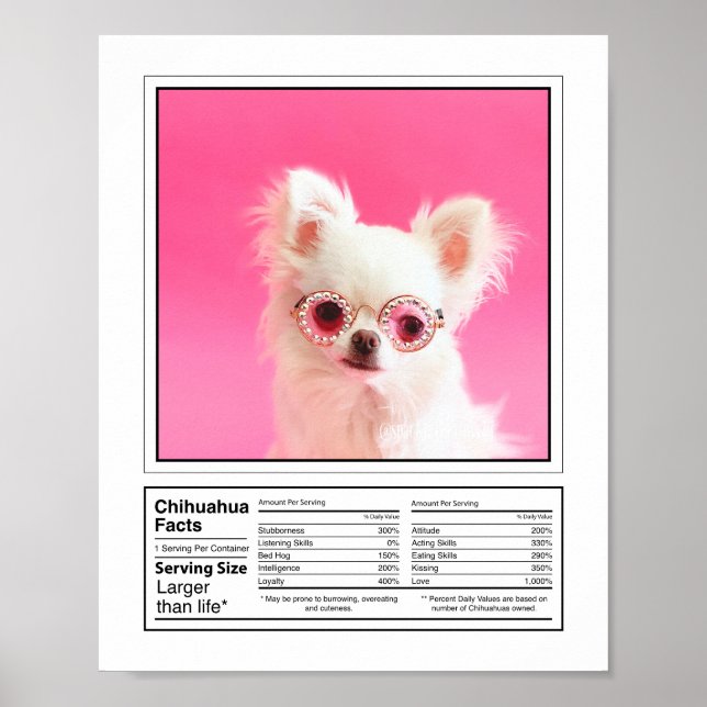 Poster Photo personnalisée Chien race Faits Chihuahua (Devant)