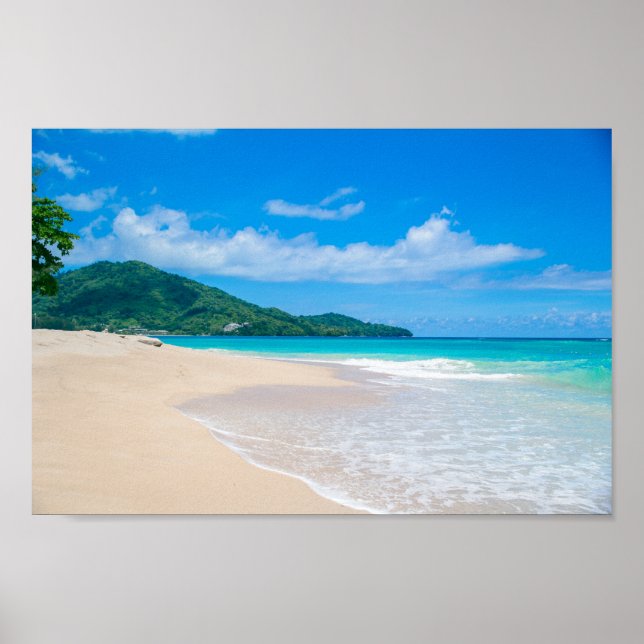 Poster Photo Pittoresque de la plage tropicale (Devant)