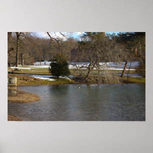 Poster photo Pond