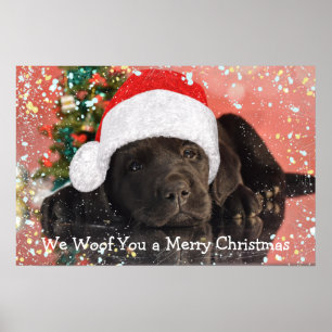 Poster Photo pour animaux de compagnie Amoureux des chien