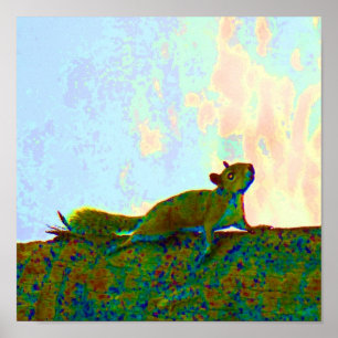 Poster photo psychadelic d'écureuil