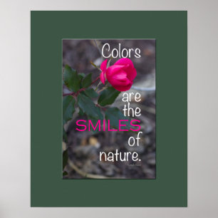 Poster Photo rose de cintrage unique