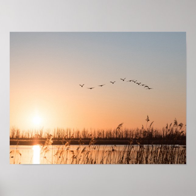Poster Photo Sunrise Nature (Devant)
