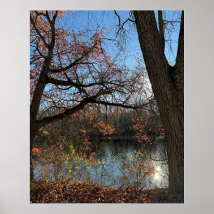 Poster photo sur le paysage aquatique d'automne