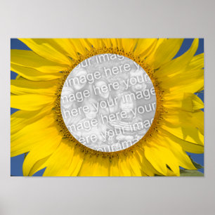 Poster Photo tournesol