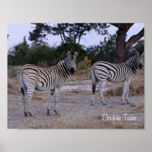 Poster Photo Zebra Double Take