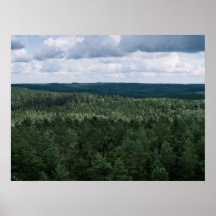 Photographie aérienne de paysage forestier nordiqu