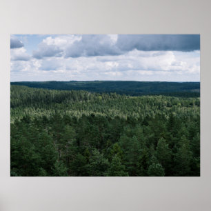 Poster Photographie aérienne de paysage forestier nordiqu