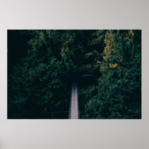 POSTER PHOTOGRAPHIE AÉRIENNE DU PONT DE HANGING PRÈS DES