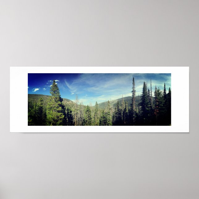 Poster Photographie couleur panoramique Woodland (Devant)