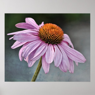 Poster Photographie d'Art Artistique