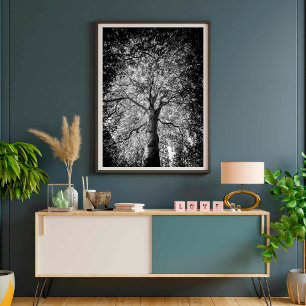 Poster PHOTOGRAPHIE D'ART FINE D'Arbre Noir et Blanc