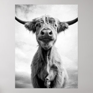 Poster Photographie D'Art Mesotint De La Vache Sainte